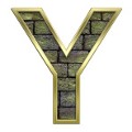 Letter Y