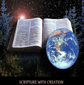 Scripture Pic - Creation Psalm 19_1-2