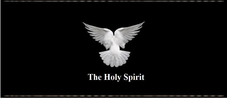 Picture of a Dove on Black The Holy Spirit