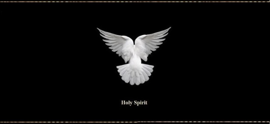Block Design with White Dove holy spirit
