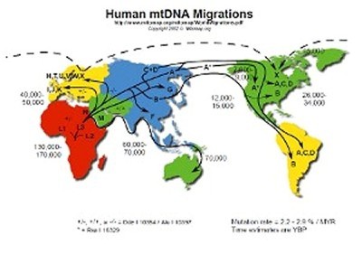 Map of MtDNA Migration