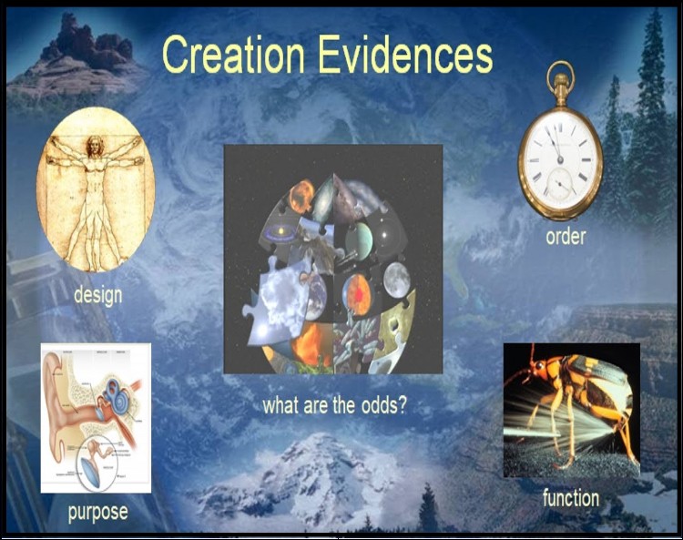 image Creation Evidences