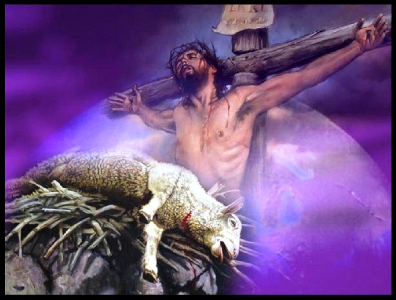 Image - Jesus the Lamb of God