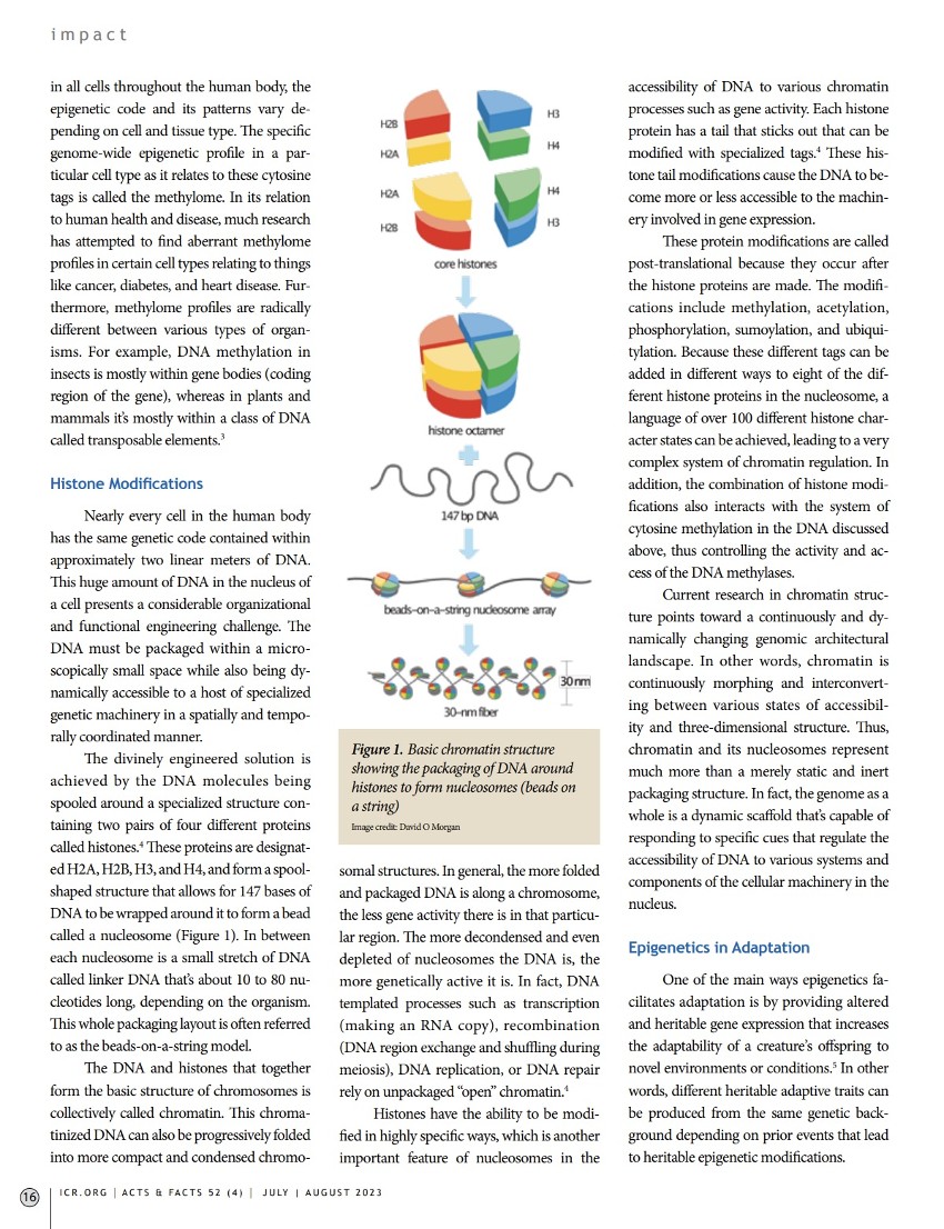 Article - Epigenetic Mechanisms - Adaptive Master Regulators of the Genome_pg 3 of 4