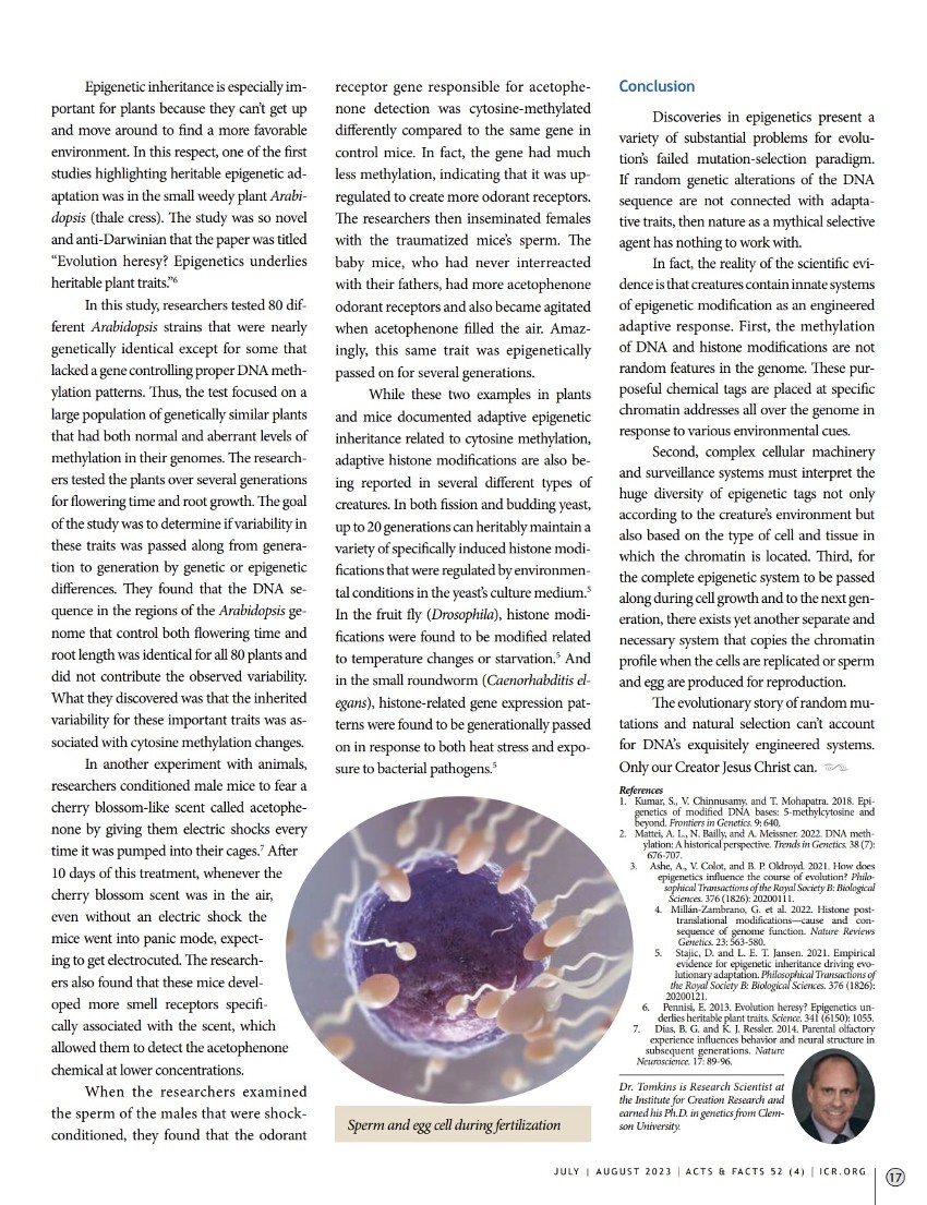 Article Epigenetic Mechanisms - Adaptive Master Regulators of the Genome_pg 4 of 4