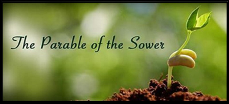  image header the parable of the sower