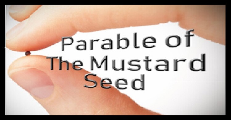 image parable of a mustard seed