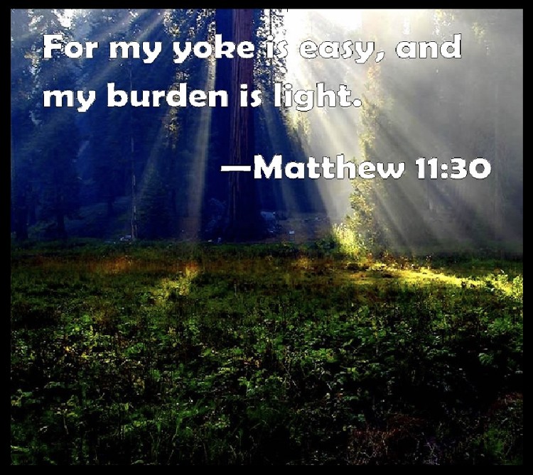 image bible quote matthew 11 my burden is light  