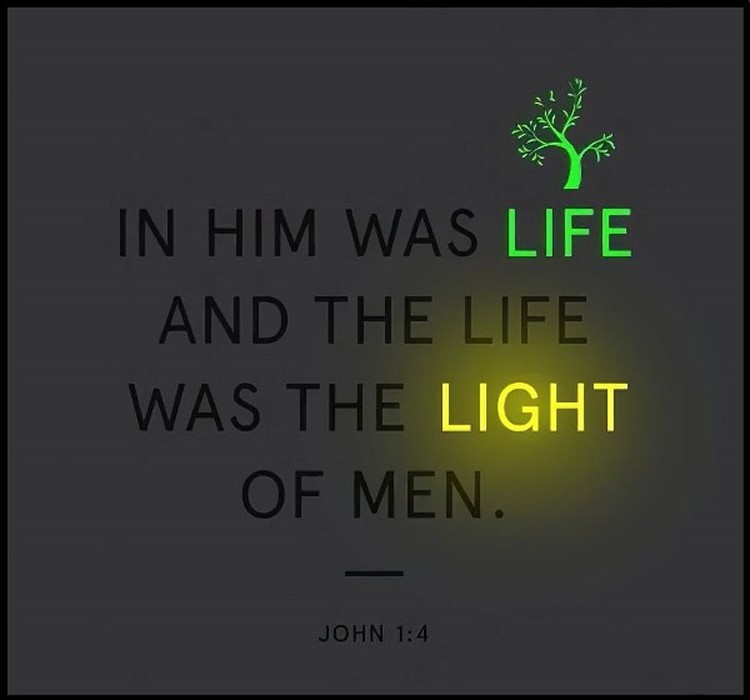 bible quote in him was light