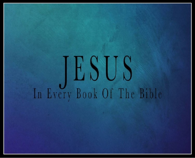 image jesus in every book