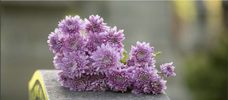 Image Flowers on a Grave