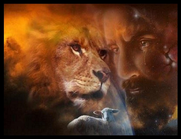 jesus, the lamb, and the lion of judah.