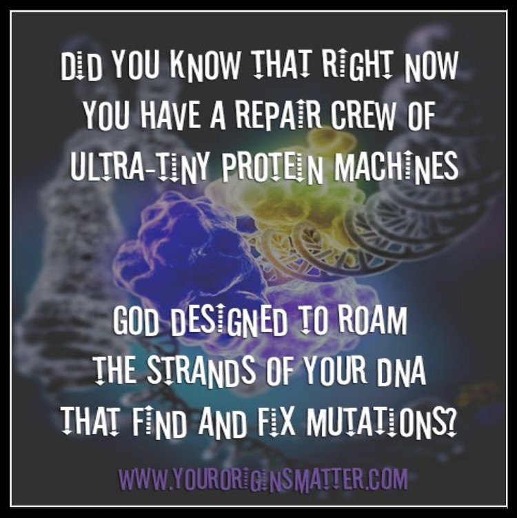 image god designed dna repair