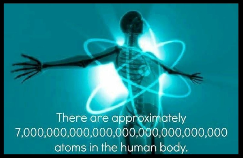 image atoms in the human body