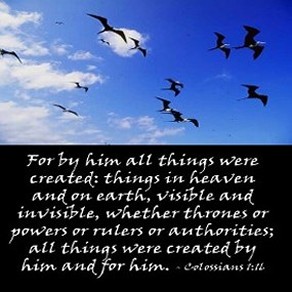 Scripture Picture 'Creation - Colossians 1-16'